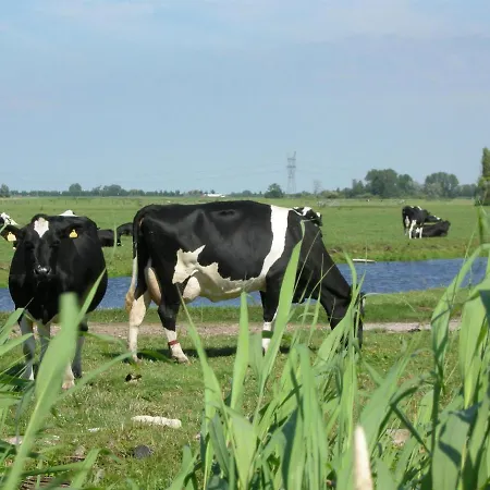 Tranquil In Gradijk * West-Graftdijk