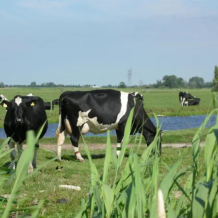Charming By The Casa de Férias