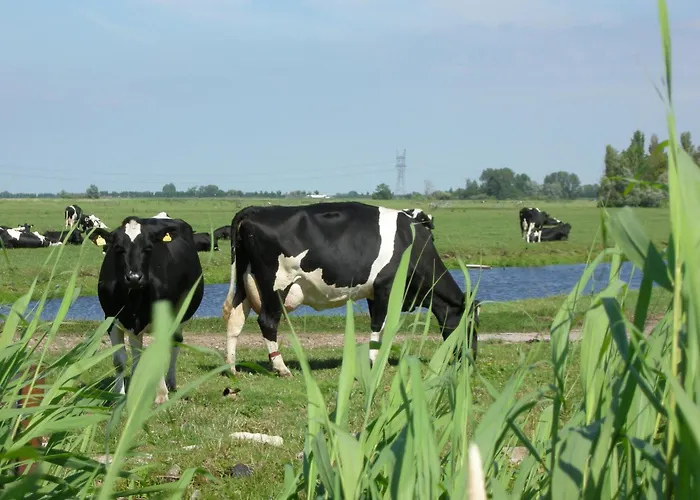 Charming By The Prázdninový dům